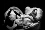 fot. D.Awiorko [Czarno-białe zdjęcie dwóch kobiet w wielkim łożu. Kobieta po lewej opiera się na poduszkach i odchyla głowę do tyłu. Druga odwraca się do niej plecami, jest przykryta puszystym kocem i leżąc na boku przytula policzek do poduszki.]